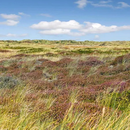 Сasa de vacaciones Bv343-blavand-sydslugen-22